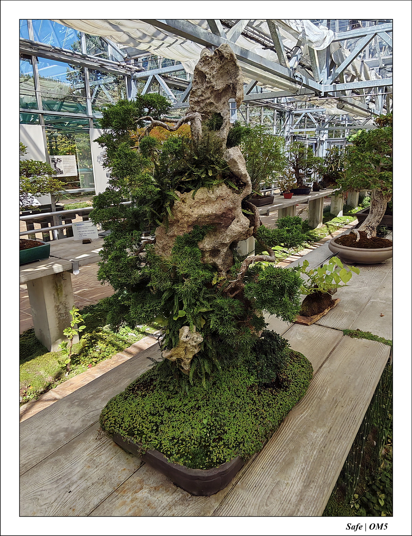 2025 - 08 - Vallée des loups - 14